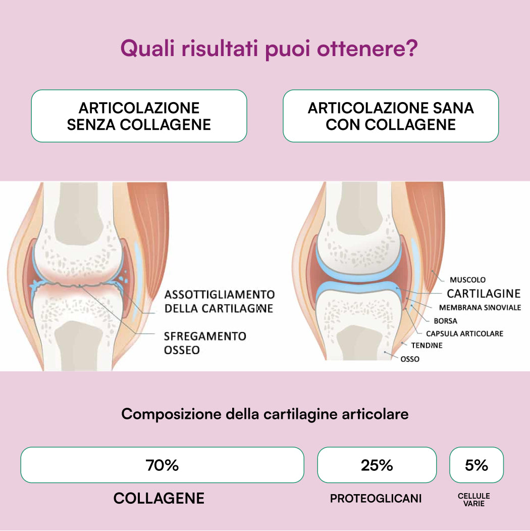 Collagene Colloidale