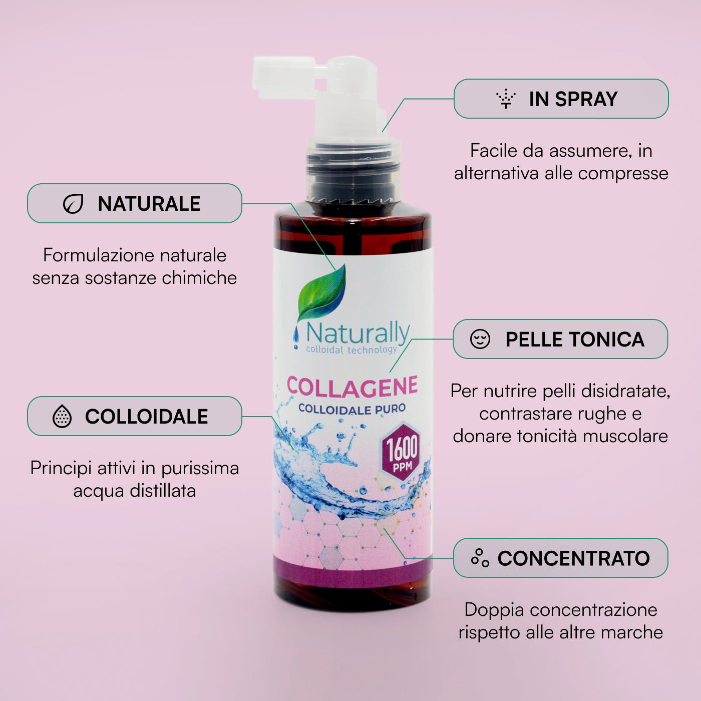 Collagene Colloidale